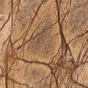 Rainforest brown marble